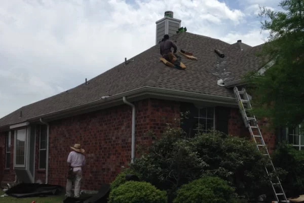 50027905_2249177972036312_3004196148853342208_n